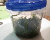 簡単副菜その1～切り昆布の和え物～作り方2写真