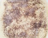 コーヒーロールパン♪ほろ苦甘ーい作り方2写真
