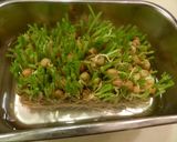 水炊きお鍋で家族もにっこり作り方6写真