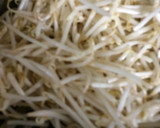 残った、はやとうり中華風肉炒めで焼きそば作り方1写真