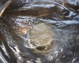 自家製カリカリピザ生地作り方6写真