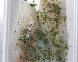 タラの切り身のオリーブオイル焼き：覚書作り方1写真