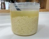 プロが教えるヨーグルトメーカーで作る塩麹作り方1写真