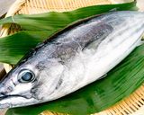第6話 こなます〜浜崎家の味〜　作り方11写真