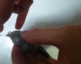 お弁当にえびの唐揚げ作り方1写真