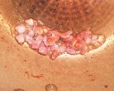 見た目が豪華☆水菜のサラダ作り方2写真