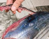 第6話 こなます〜浜崎家の味〜　作り方18写真