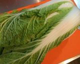 大豆のお肉で！ロール白菜の中華あんかけ作り方1写真