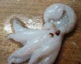 いい蛸と里芋の煮物作り方2写真