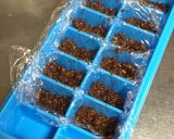 チョコレアチーズケーキのスイーツキューブ作り方5写真