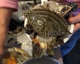 ケジャン 渡り蟹作り方4写真