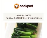 さっぱり！小松菜の辛子おひたし作り方4写真