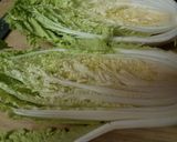 白菜アボカドサラダ　簡単ヘルシー美味しい作り方1写真