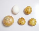 新じゃがと新玉葱のピリ辛炒め作り方5写真