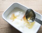 フローズンヨーグルトうさぎ作り方1写真