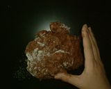 とてもふんわり☆ココアとチョコチップパン作り方10写真
