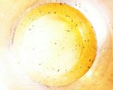 茸のマリネ作り方7写真