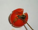 お弁当カップにもなる✿ミディトマトのお花作り方3写真