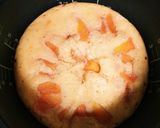 炊飯器で簡単♡柿を使った季節のケーキ作り方10写真