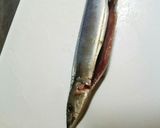 簡単！フライパンDE秋刀魚の塩焼き♪作り方2写真
