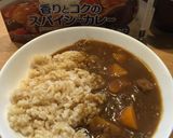 ハヤシライス 市販のルー 圧力鍋作り方12写真