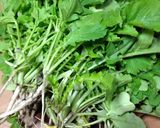 大根の間引き菜でソフトふりかけ作り方1写真