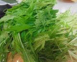 BRITA豚バラ水菜野菜だし鍋作り方4写真
