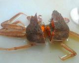 親がにの味噌汁作り方1写真
