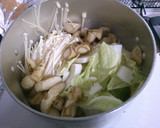 簡単♪白菜とごぼう 豆腐の味噌煮込み！作り方4写真