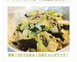 簡単！5分で出来る！白菜チョレギサラダ！作り方8写真