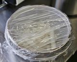 ひらひらごぼうのレモン風味和え作り方6写真