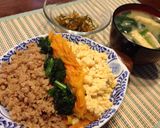 花粉症対策 塩魚汁で鶏挽肉のそぼろ煮作り方7写真