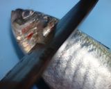 アジの捌き方☆素人でも出来ますよ～作り方6写真