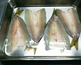 簡単！冷蔵庫で作るカマスの一夜干し作り方2写真