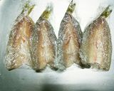 簡単！冷蔵庫で作るカマスの一夜干し作り方5写真