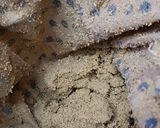 どんぐりのムック(韓国の伝統料理)作り方4写真