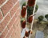 あっという間の干し柿作り♪作り方4写真