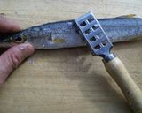 さっくり かますフライ作り方1写真