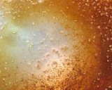 シャキシャキ水菜と根菜の胡麻酢サラダ作り方4写真