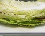 白菜と豚肉のミルフィーユみぞれ鍋♪作り方2写真