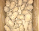 コロッケ おふくろの味作り方1写真