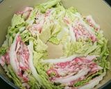 白菜と豚肉のミルフィーユみぞれ鍋♪作り方3写真