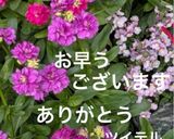 やきもち♡作り方46写真