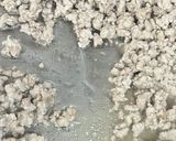 茄子と挽き肉の濃厚みそ炒め🍆コク旨仕上げ作り方2写真