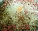 牛乳で仕上げるまろやか味のロールキャベツ作り方3写真