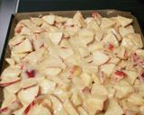 サラダオイルで♪簡単りんごケーキ作り方6写真