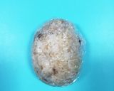 簡単キャラ弁♩キョロちゃん♩作り方1写真