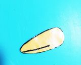 簡単キャラ弁♩キョロちゃん♩作り方4写真
