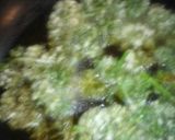 パセリで天麩羅♪インド風味╰(°ㅂ°)╯作り方3写真