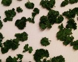 パセリ大量消費！レンジで簡単ドライパセリ作り方5写真